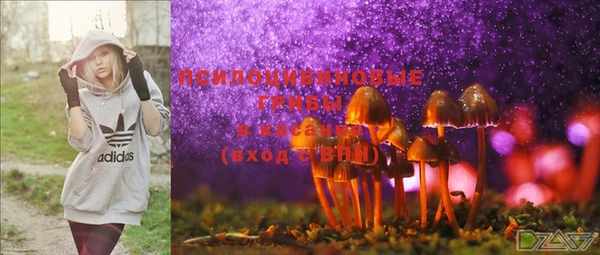 тгк Абинск