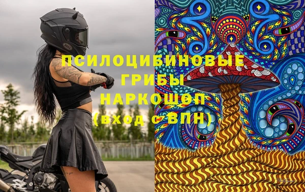 тгк Абинск