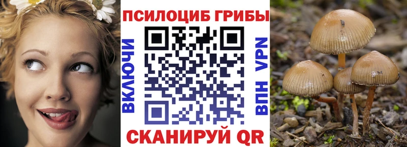 Галлюциногенные грибы мухоморы  наркота  Костомукша 