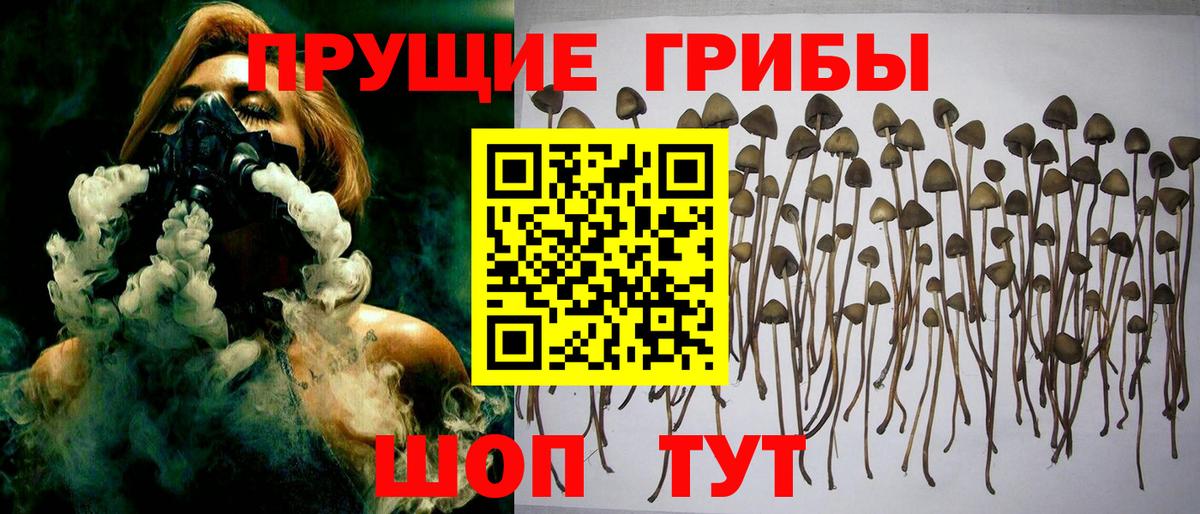 Костомукша  Псилоцибиновые грибы Magic Shrooms  Вход с VPN  Псилоцибиновые грибы прущие грибы 