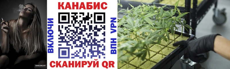 где купить наркотик  ссылка на мегу онион  Бошки Шишки конопля  Костомукша 
